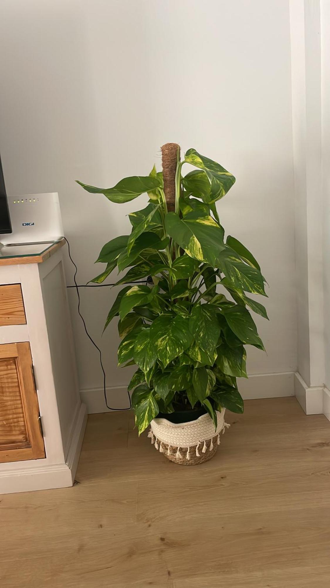 Exclusivo Apartamento Cerca De La Playa Málaga Buitenkant foto